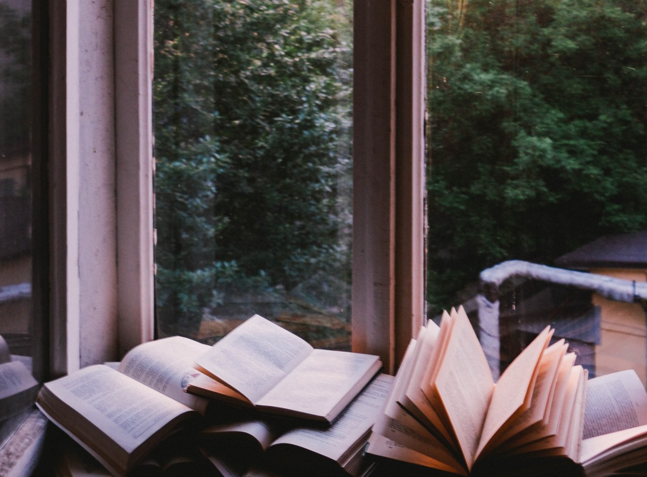 books on a shelf, power of books, book lovers