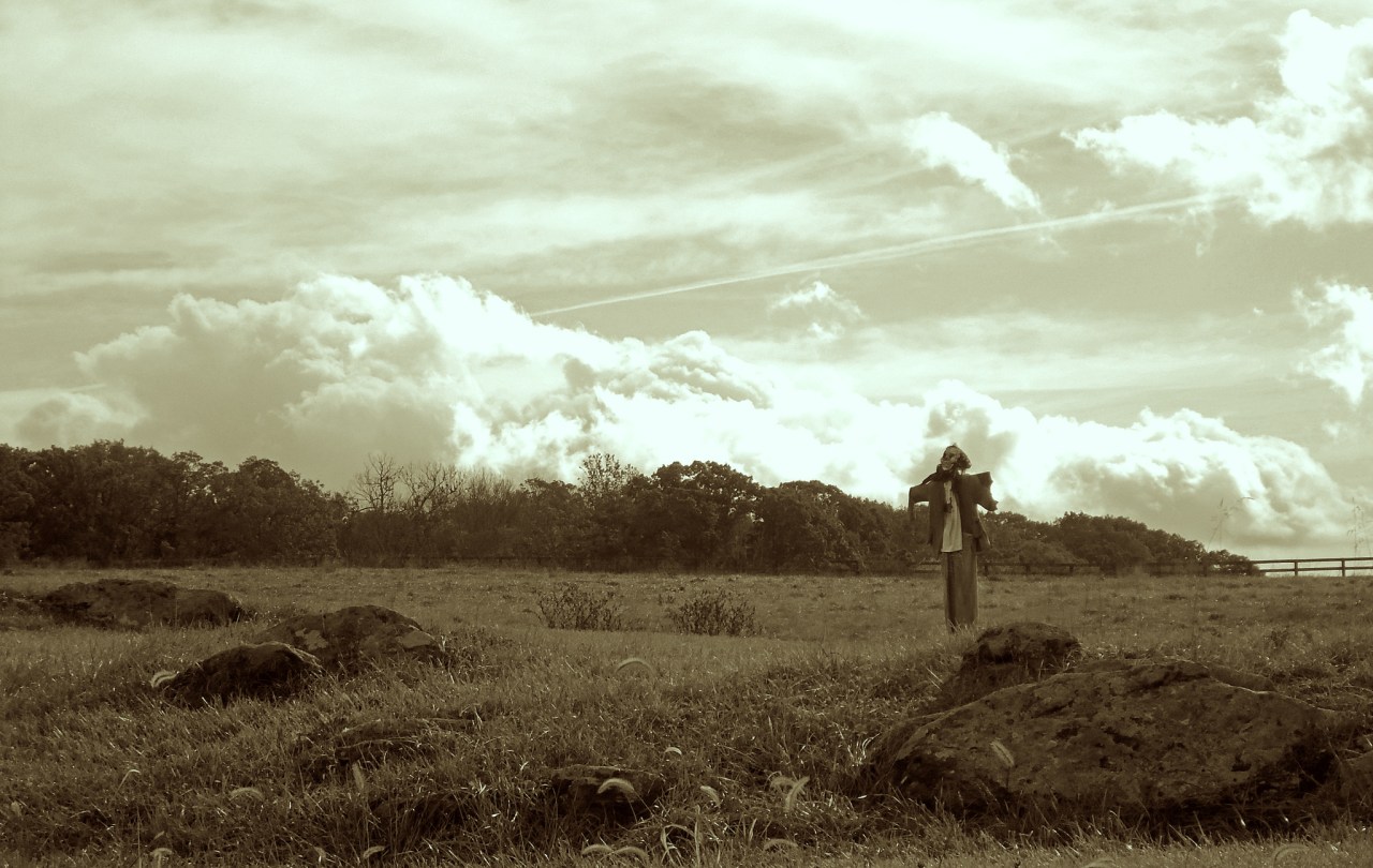 There's Something Off About The Scarecrow On My Grandpa's Farm