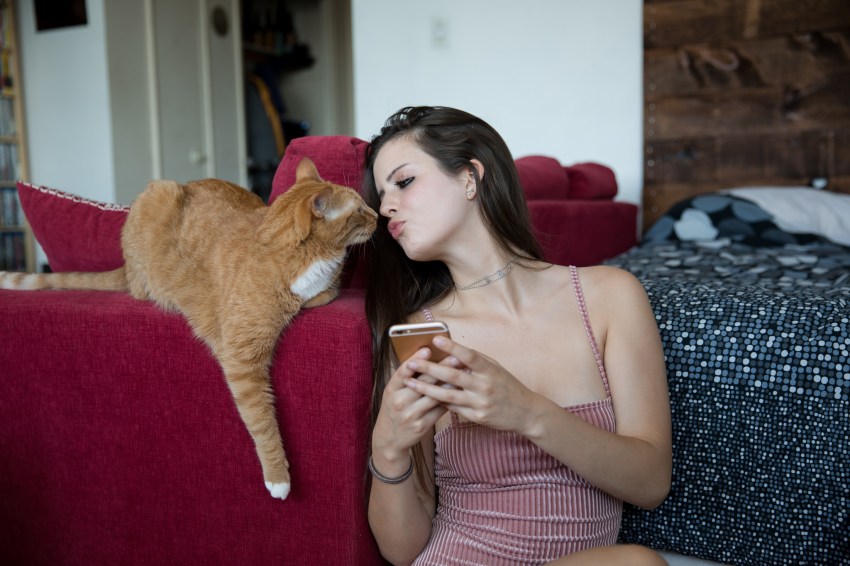 The Signs You Are Most And Least Compatible With Based On Your Chinese Zodiac