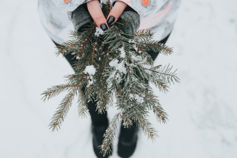 hand holding evergreen branches, little reminders, encouragement, holidays away from home