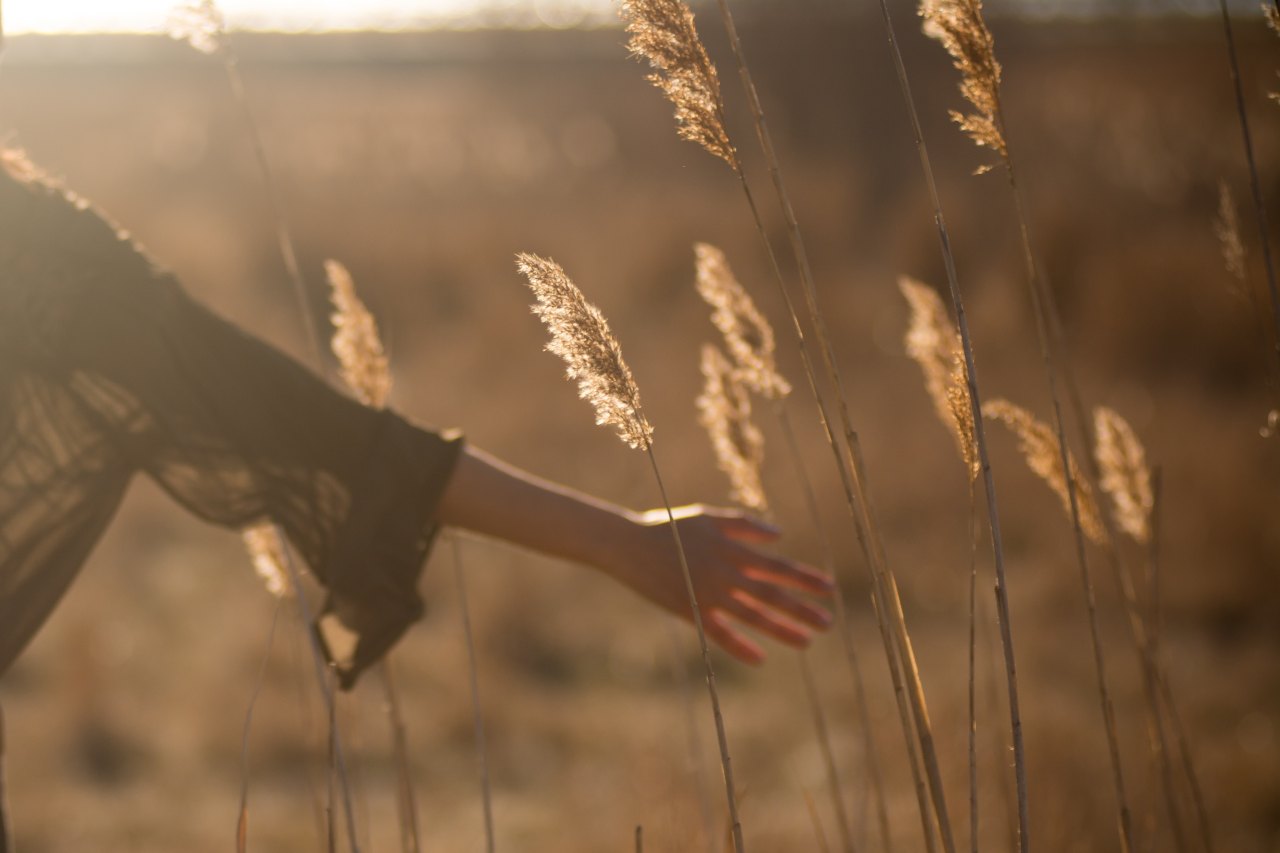 hand in field