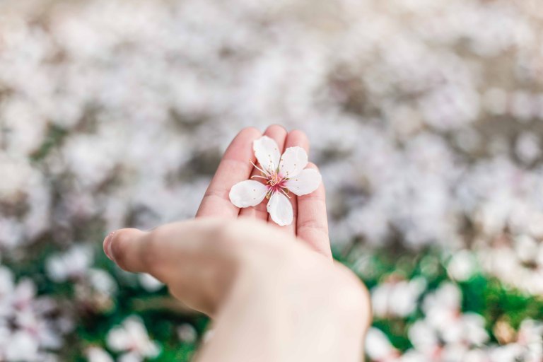 hand holding flower