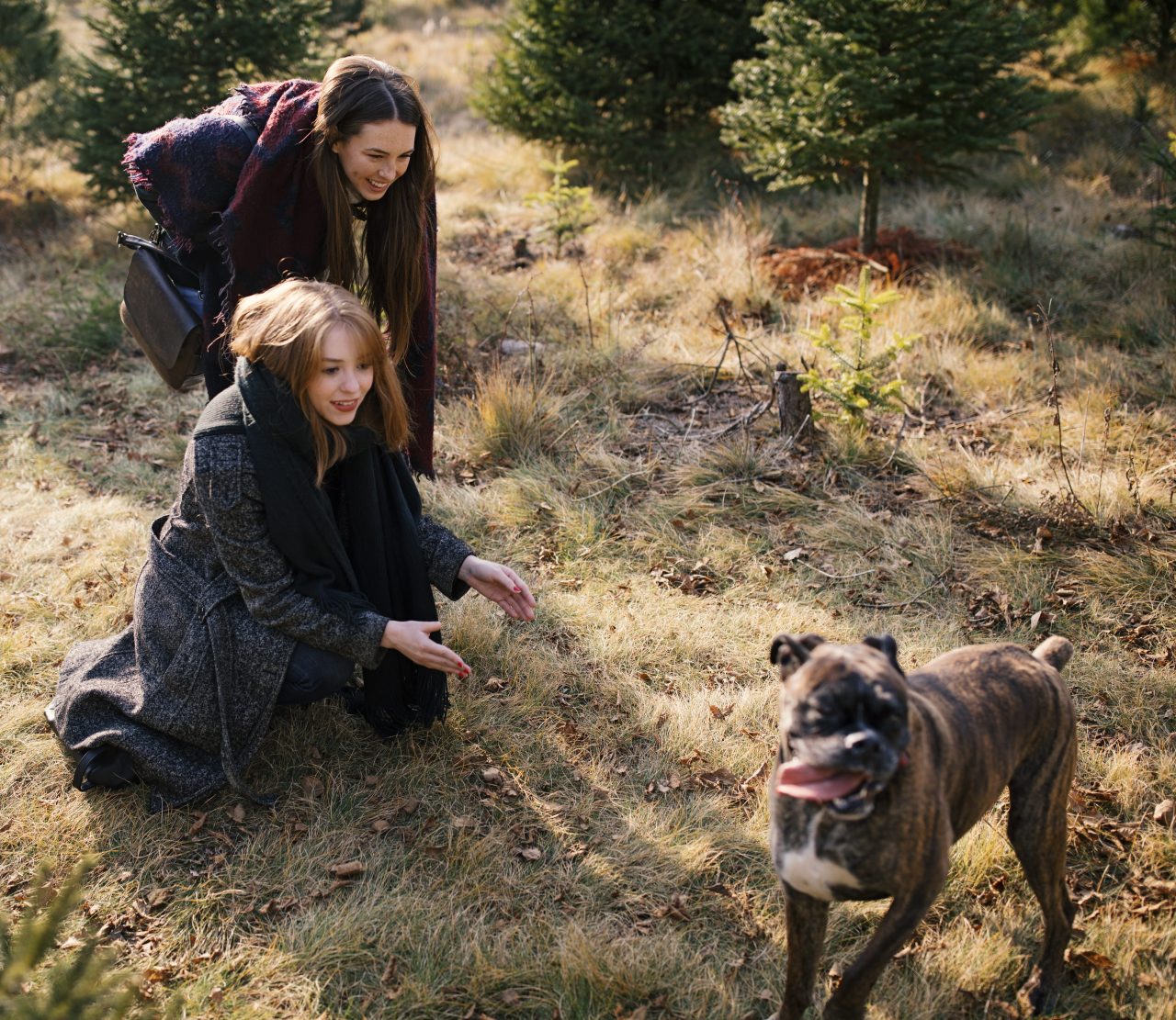 two women playing with dog