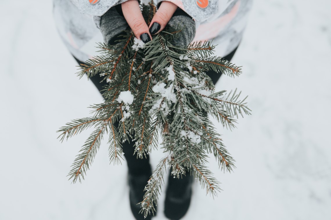 hands holding pine needles