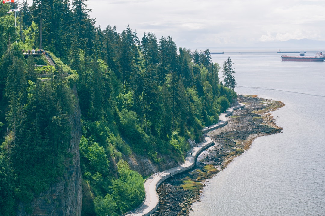 A wooded coast with people walking along the seawall and admiring the sea from an observation deck