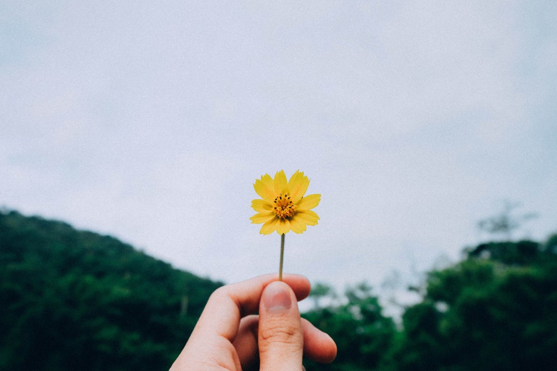 holding a yellow flower