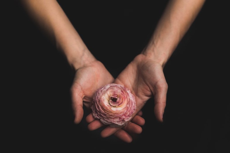 hands holding a flower