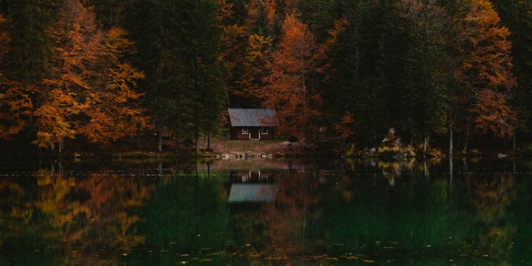 I Planned A Trip To A Lake House With My Friends And Now Three Of Us Are Dead