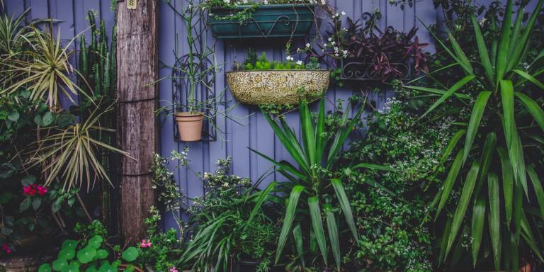 10 Reasons You Should Plant Your Own Garden