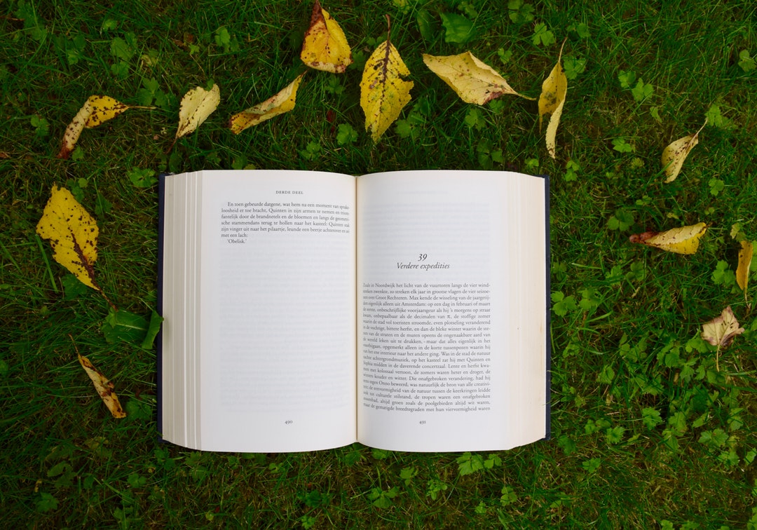 A book open to a new chapter surrounded by green grass and yellow leaves