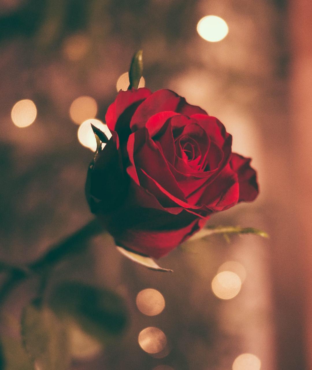 Read This If You Are Still Searching For The Right One