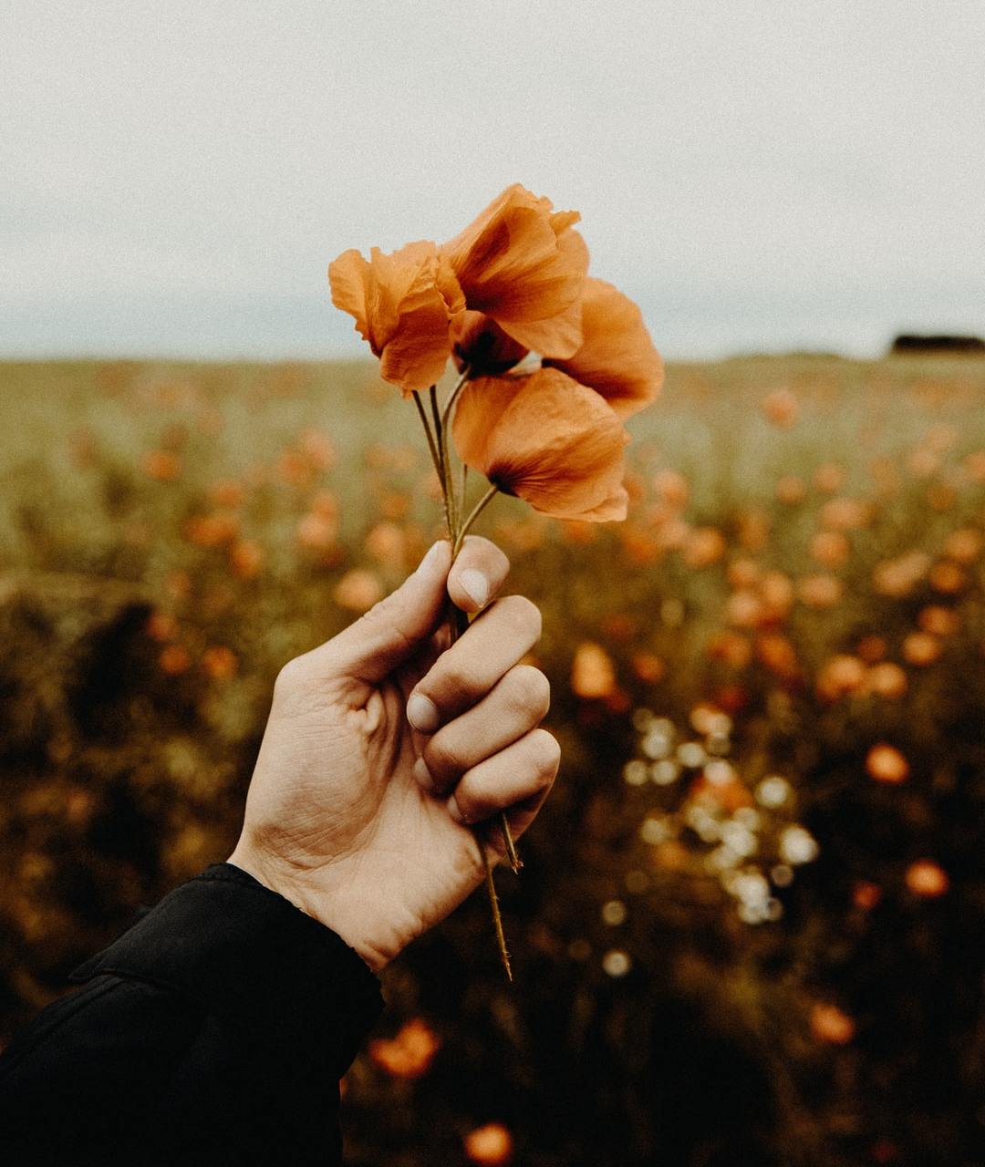 What’s Meant To Be Will Always Find Its Way To You