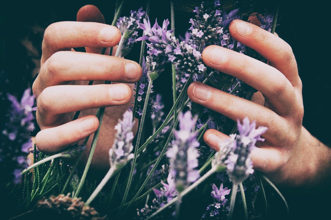 girl with lavender 