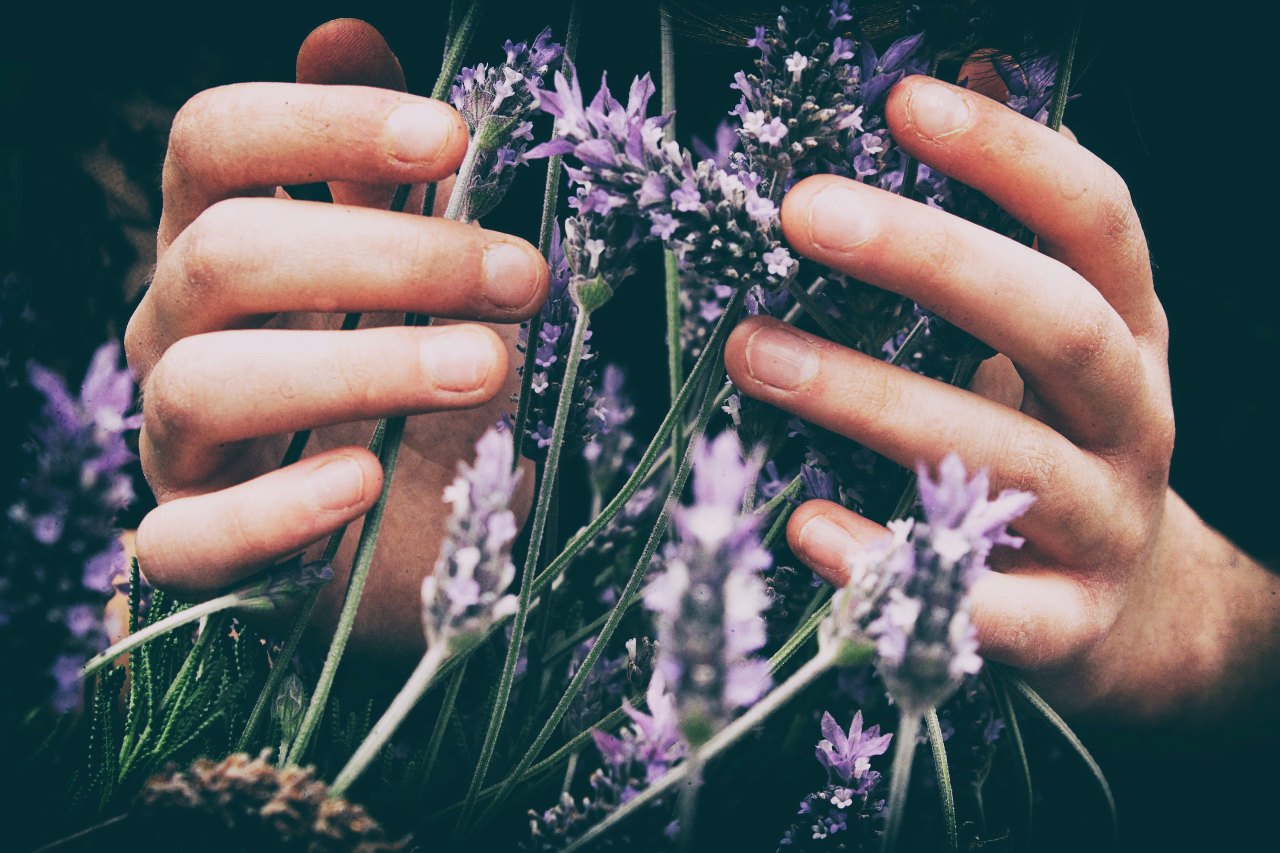 girl with lavender