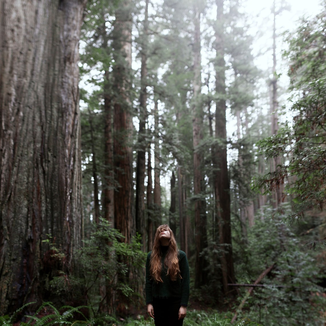 Blending into the forest, nature, camping, solitude, solo adventures, thinking, reflecting, one with the trees of the forest