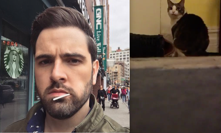 Adam Ellis and a clip of video of his cat from his twitter account