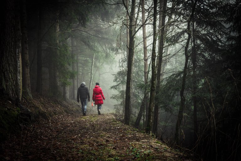 couple walking in the woods