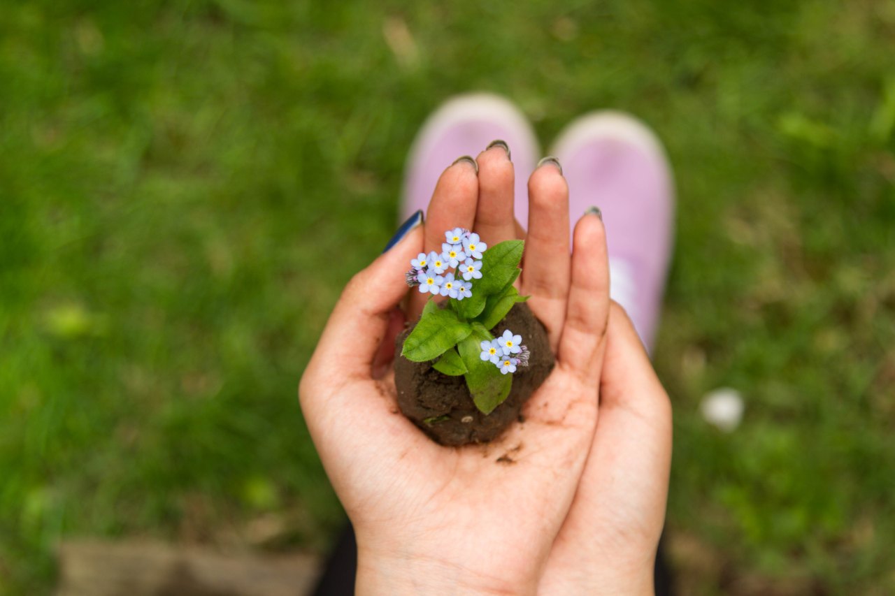 faith, seeds of faith, plant a seed, Christian faith, Christianity