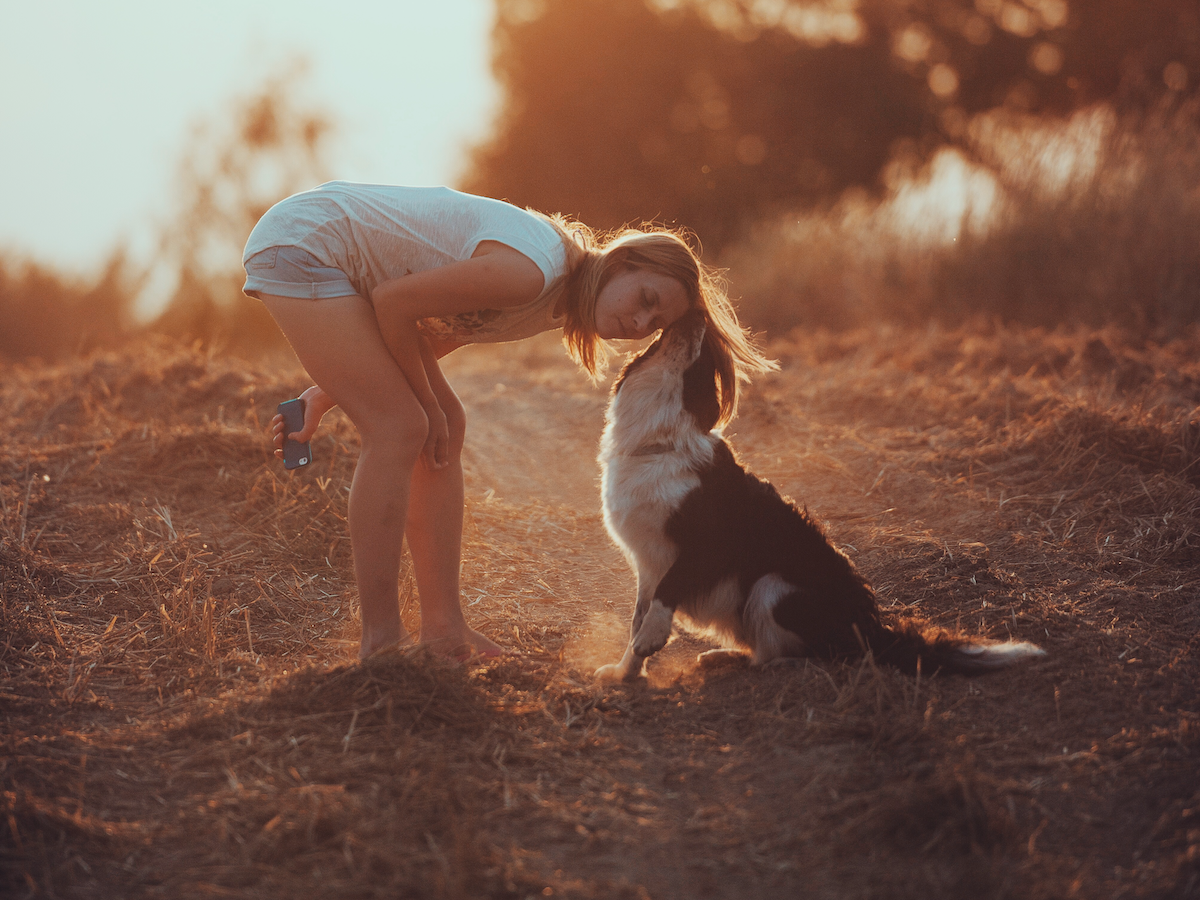 24 Heartwarming Stories Of Pets Going The Extra Mile To Be Loving