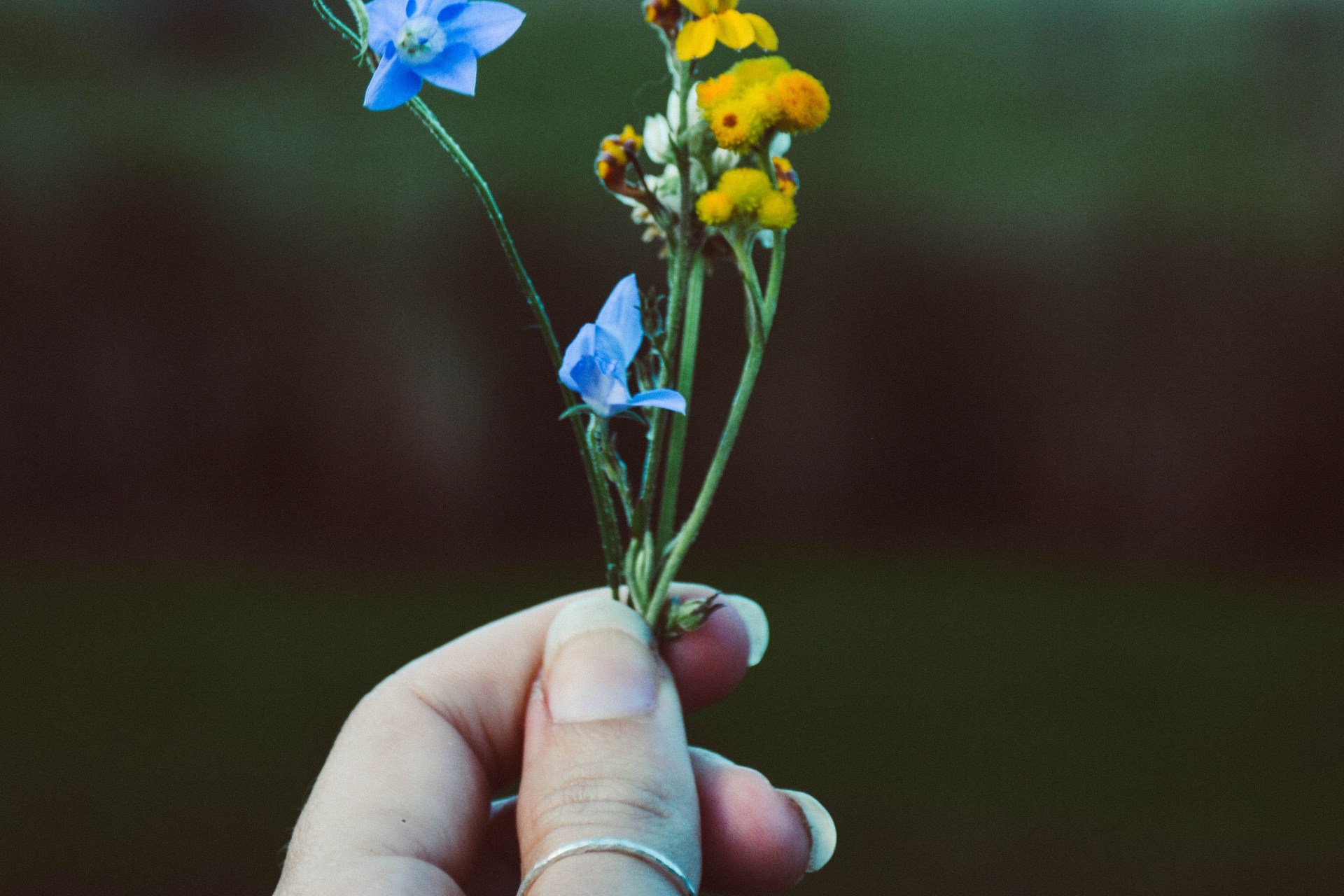 Just Like Plants, We Must Be Pruned Before We Grow