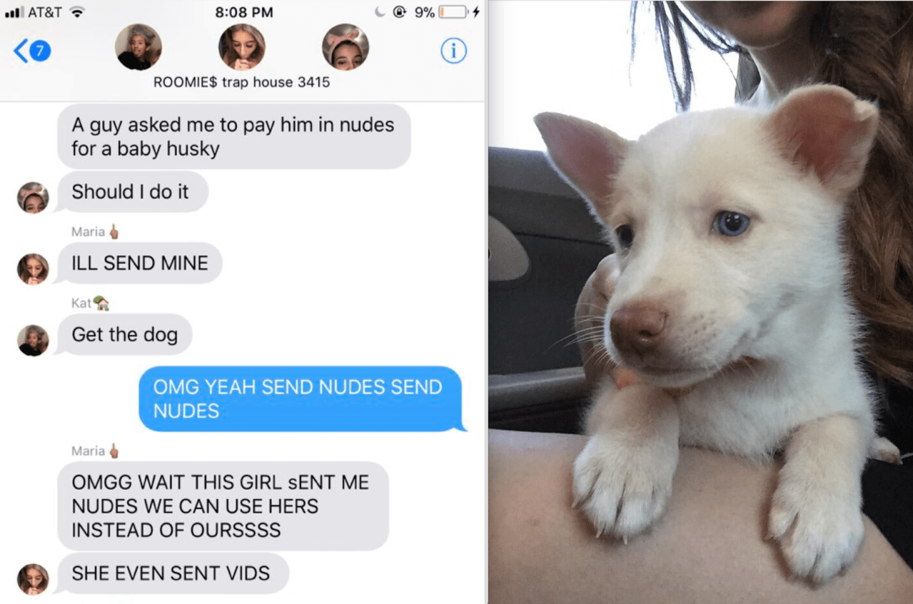 A roomate group chat and a picture of the cutest pup