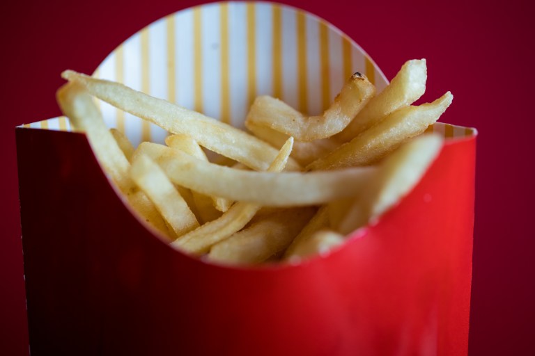 McDonalds fries