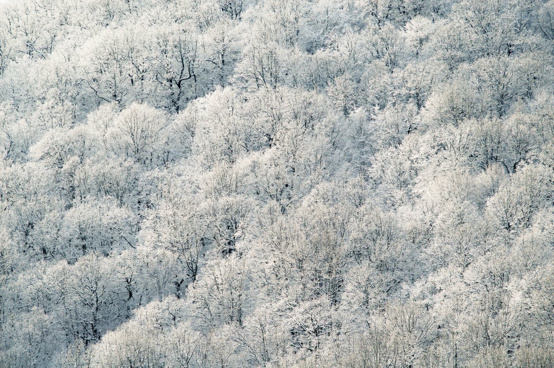 White Snow Background