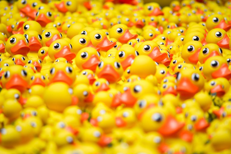 A bunch of rubber ducks