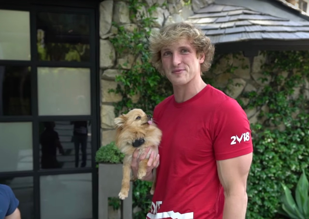 Logan Paul in his vlog about ending daily vlogs