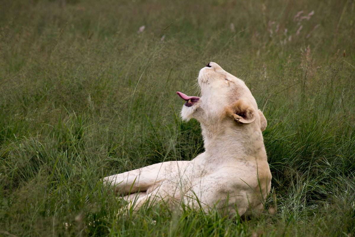 14 Ways You Can Stay Awake When You’re Just Dying To Fall Asleep