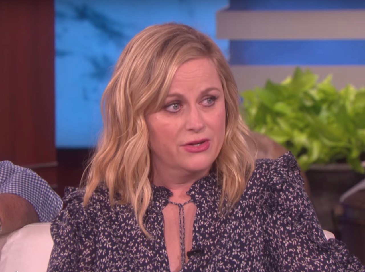 Amy Poehler on The Ellen Show