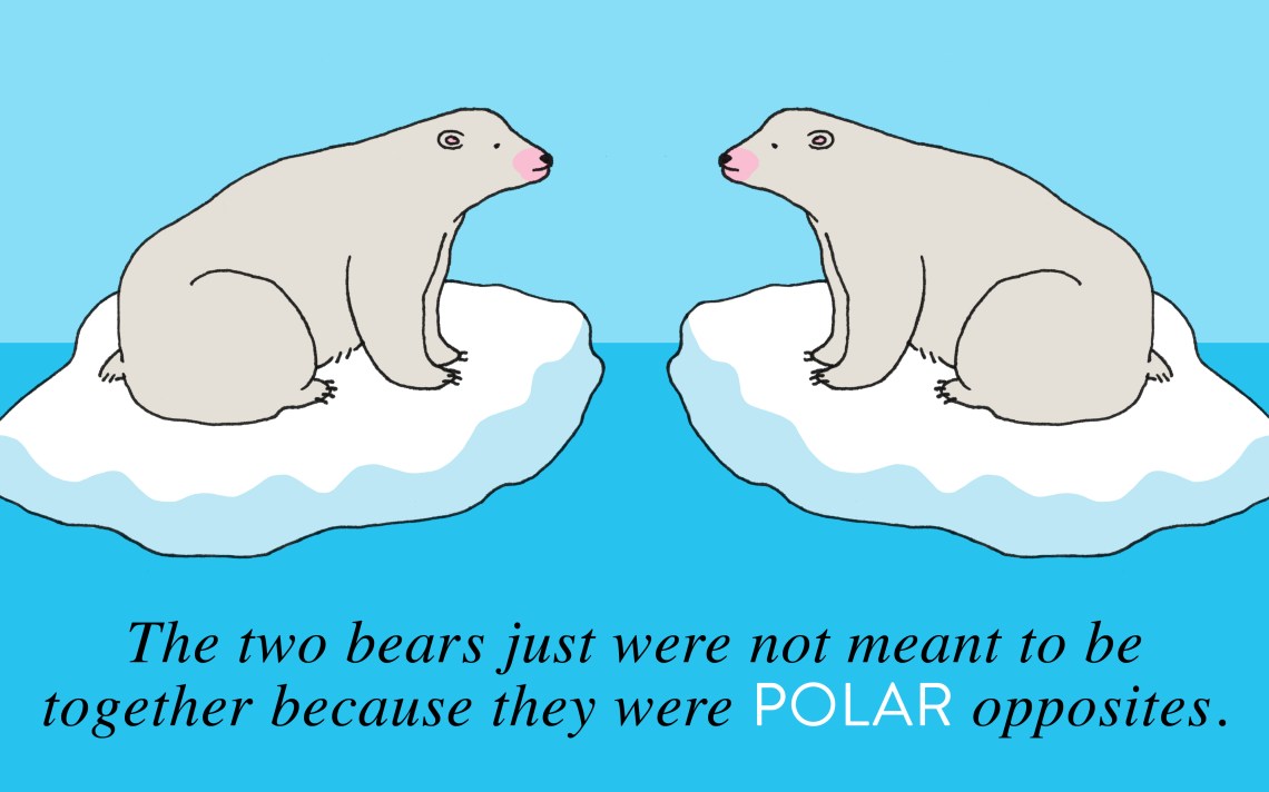 Bear Puns