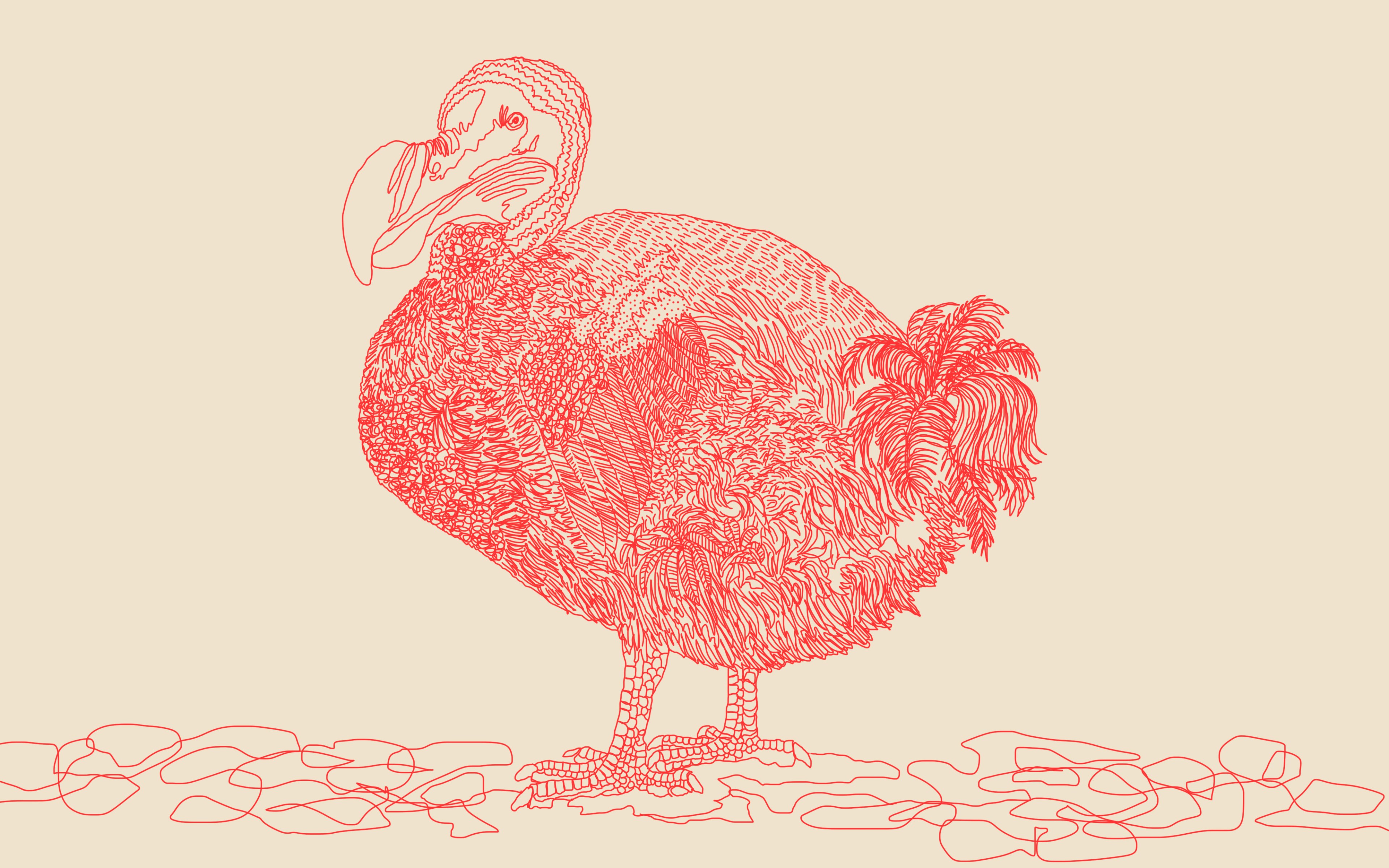 Bird Puns