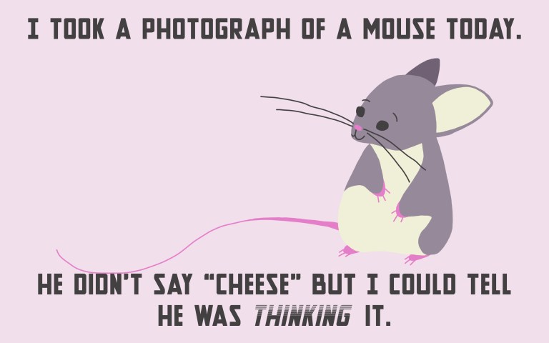 Cheese Puns