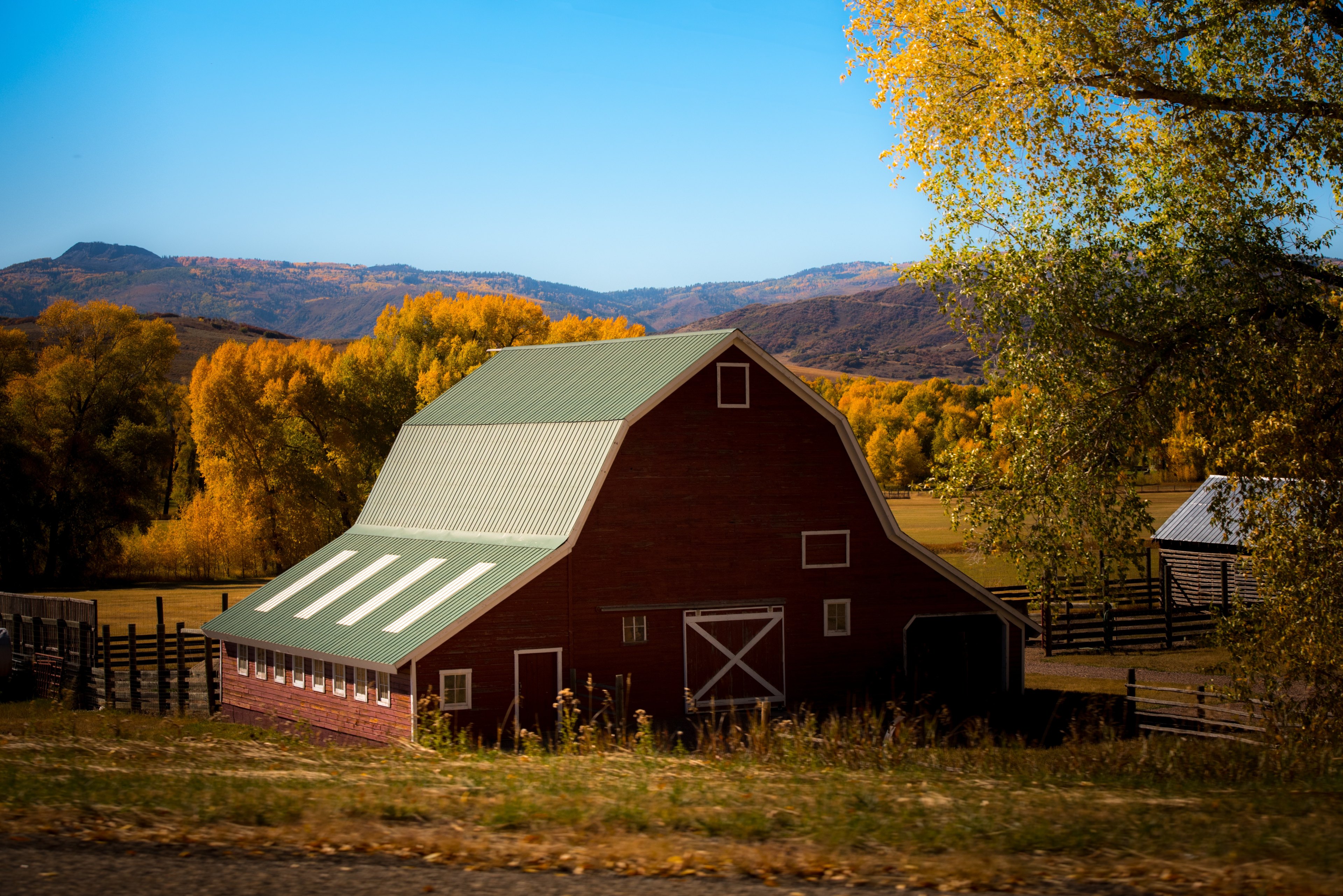 Farm Puns