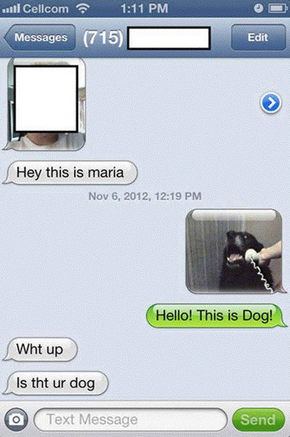 Funny Texts