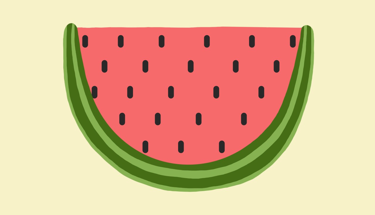 Watermelon Puns