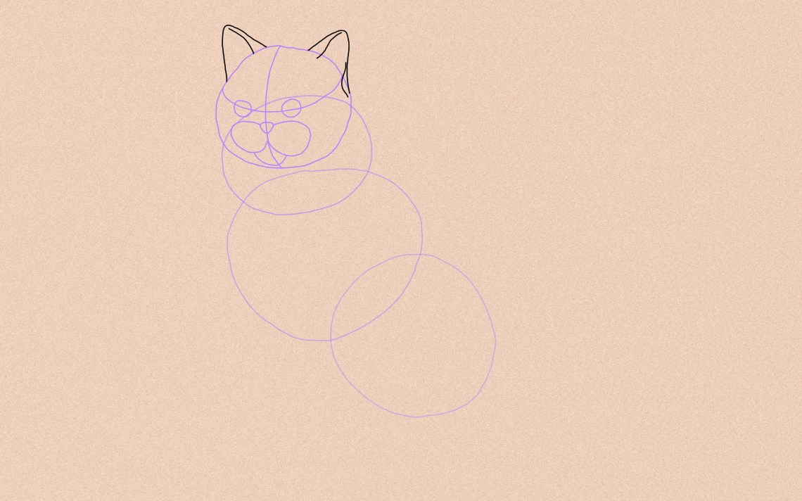 How To Draw A Cat