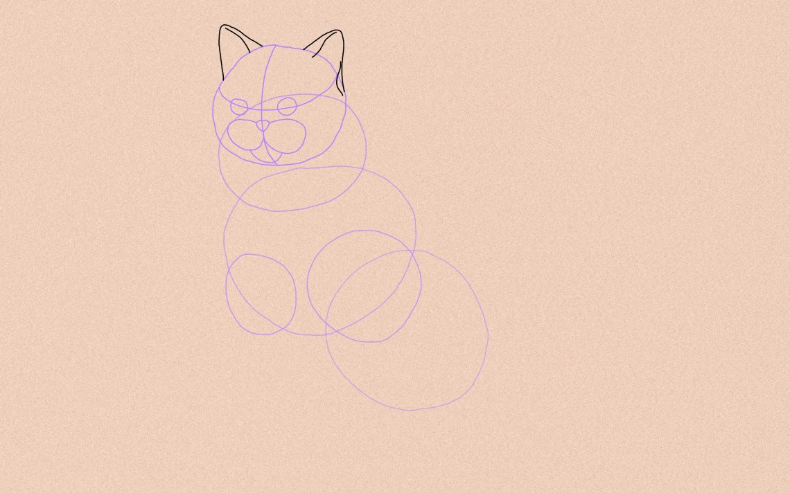 How To Draw A Cat