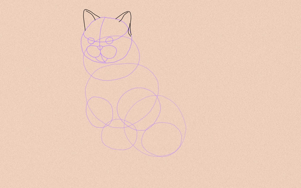 How To Draw A Cat