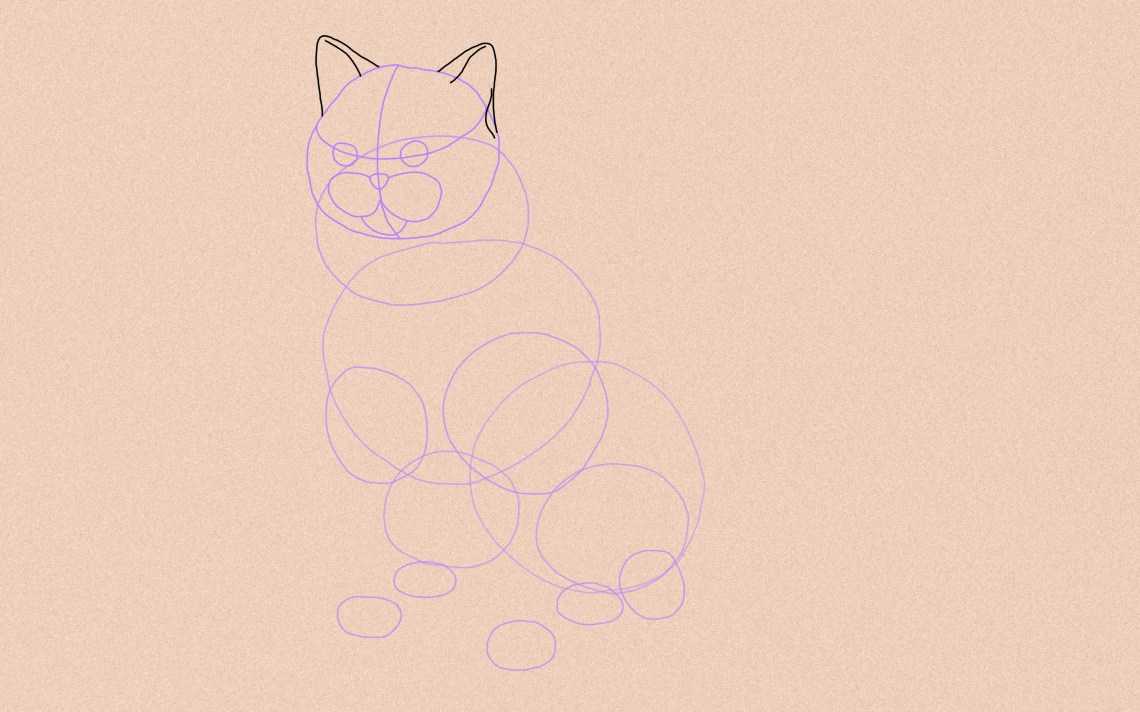 How To Draw A Cat