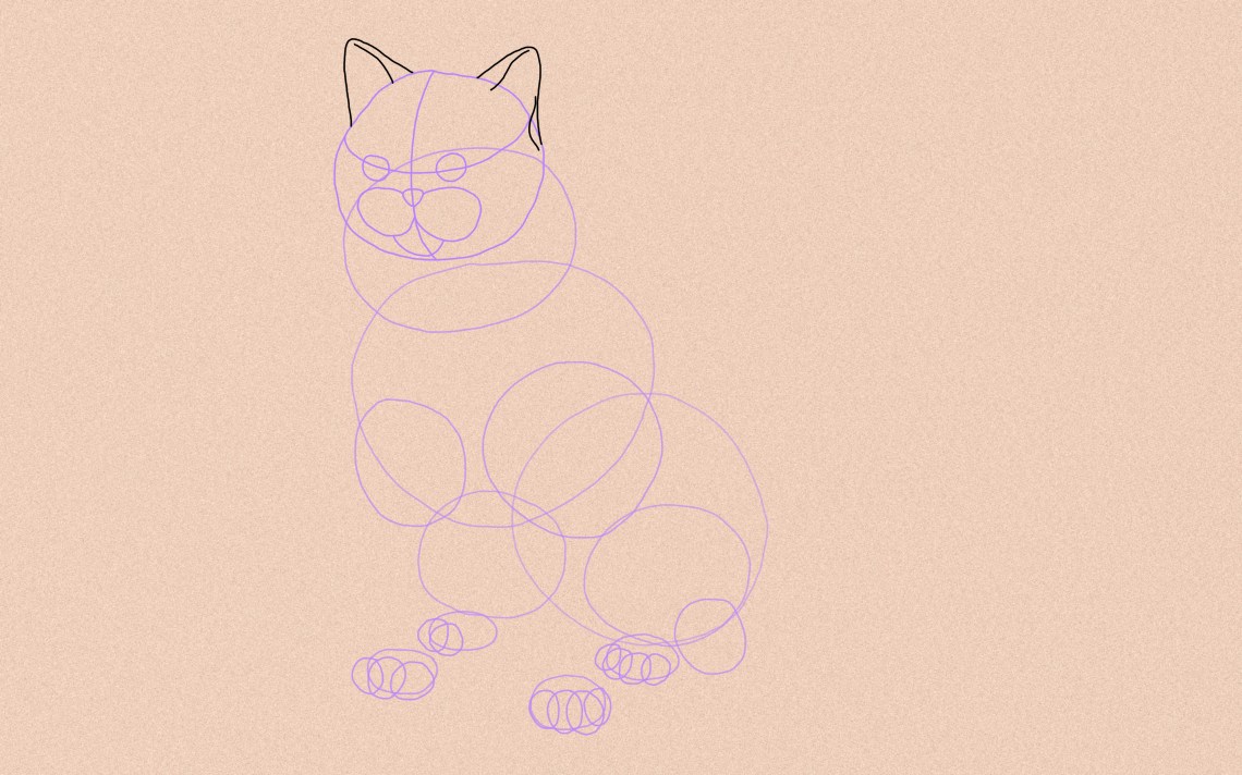 How To Draw A Cat