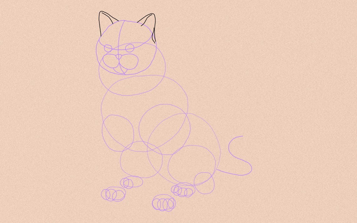 How To Draw A Cat