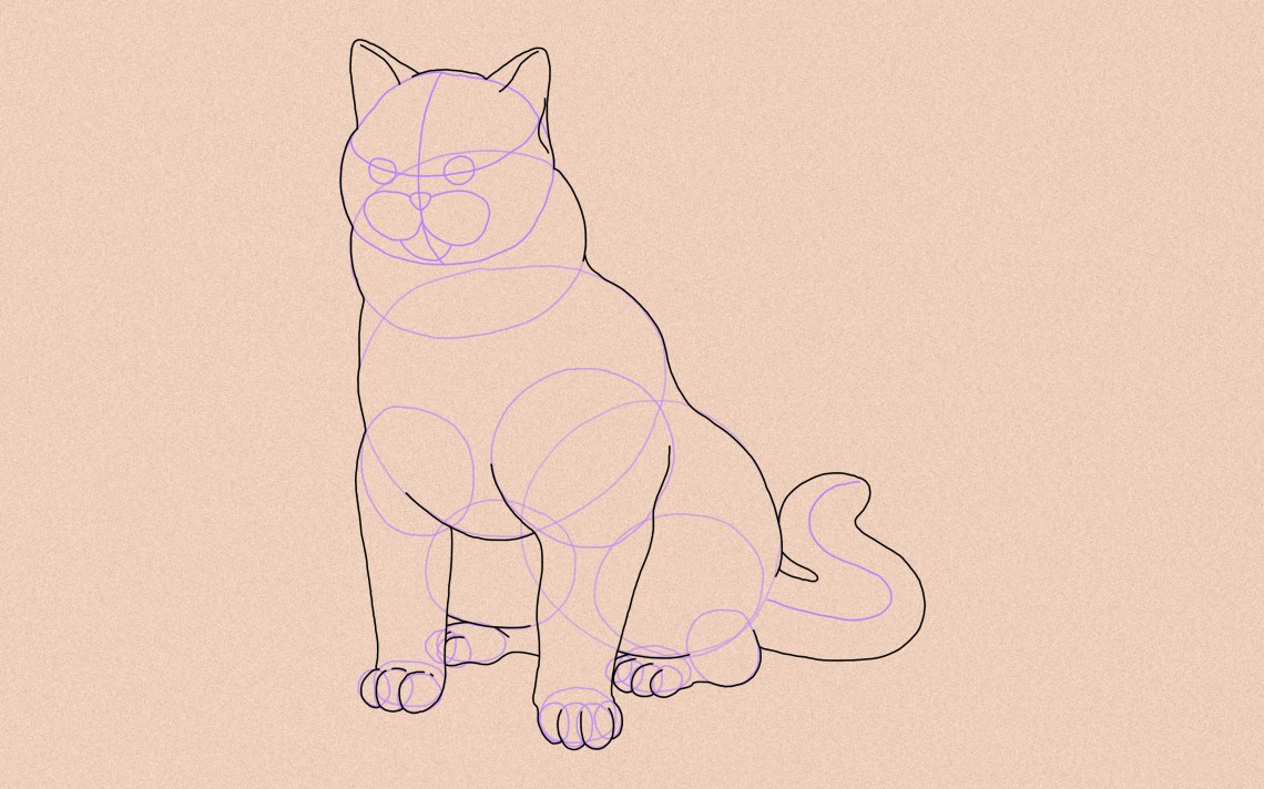 How To Draw A Cat