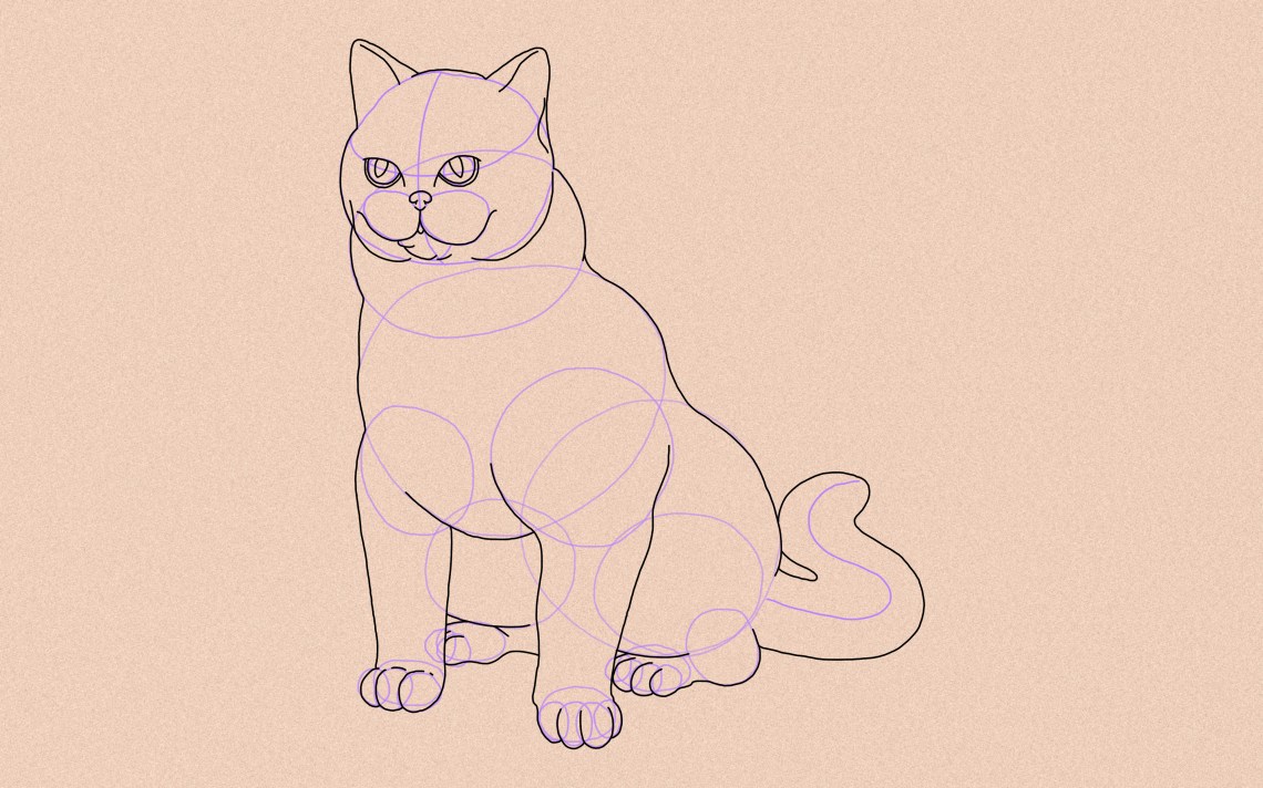 How To Draw A Cat