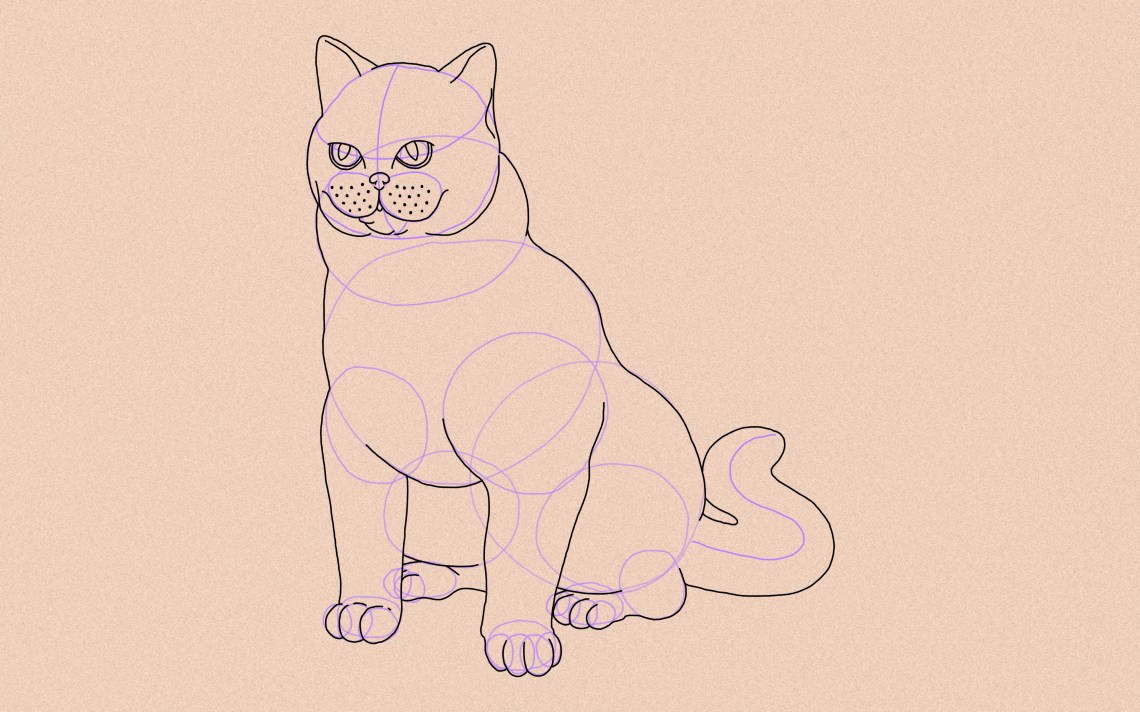 How To Draw A Cat