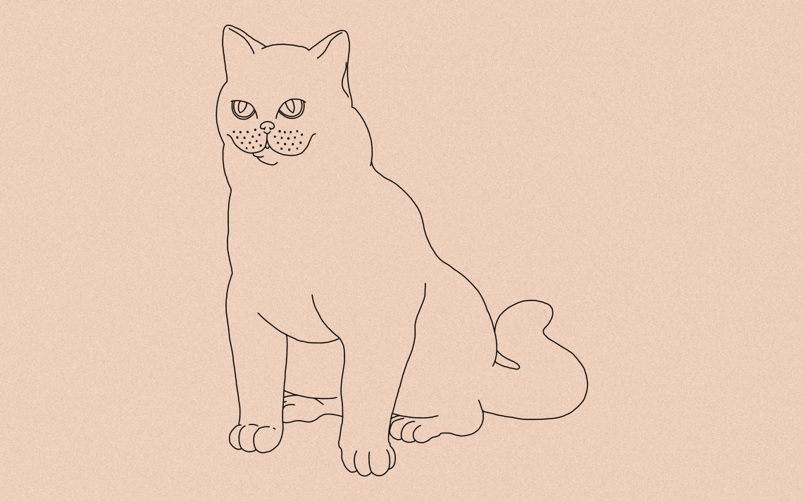 How To Draw A Cat