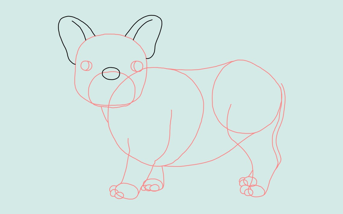 How To Draw A Dog