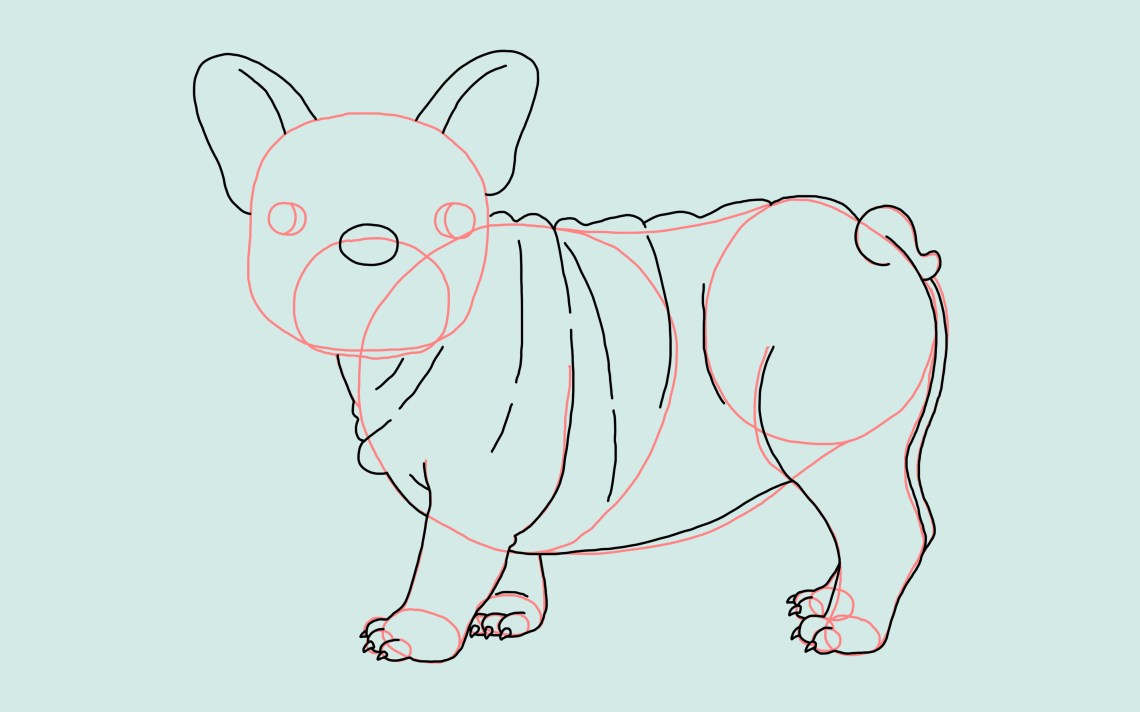 How To Draw A Dog