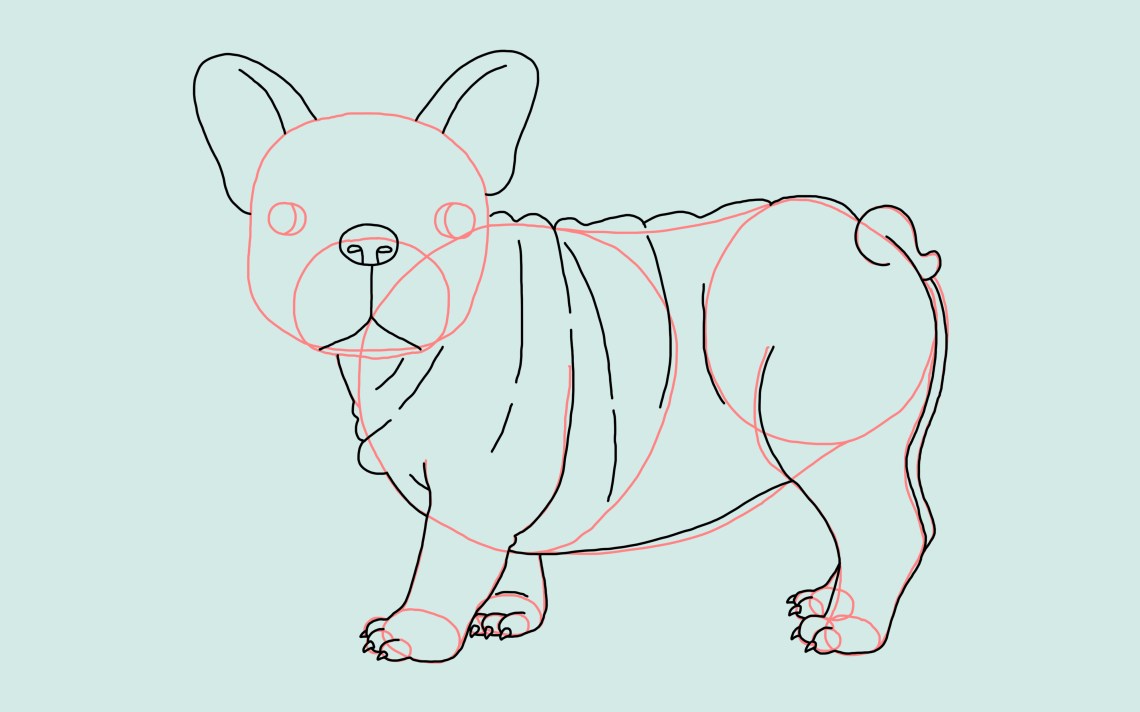 How To Draw A Dog